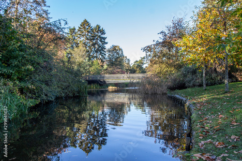 autumn landscape with lake