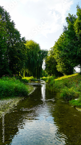 river with trees