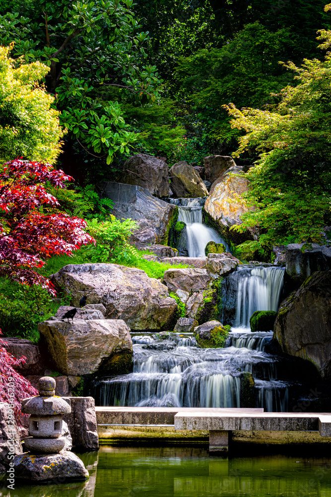 Fototapeta premium Wodospad długiej ekspozycji widok pionowy z klonami w Kioto Japoński zielony ogród w Holland Park zielone lato zen jezioro staw w Londynie w Wielkiej Brytanii