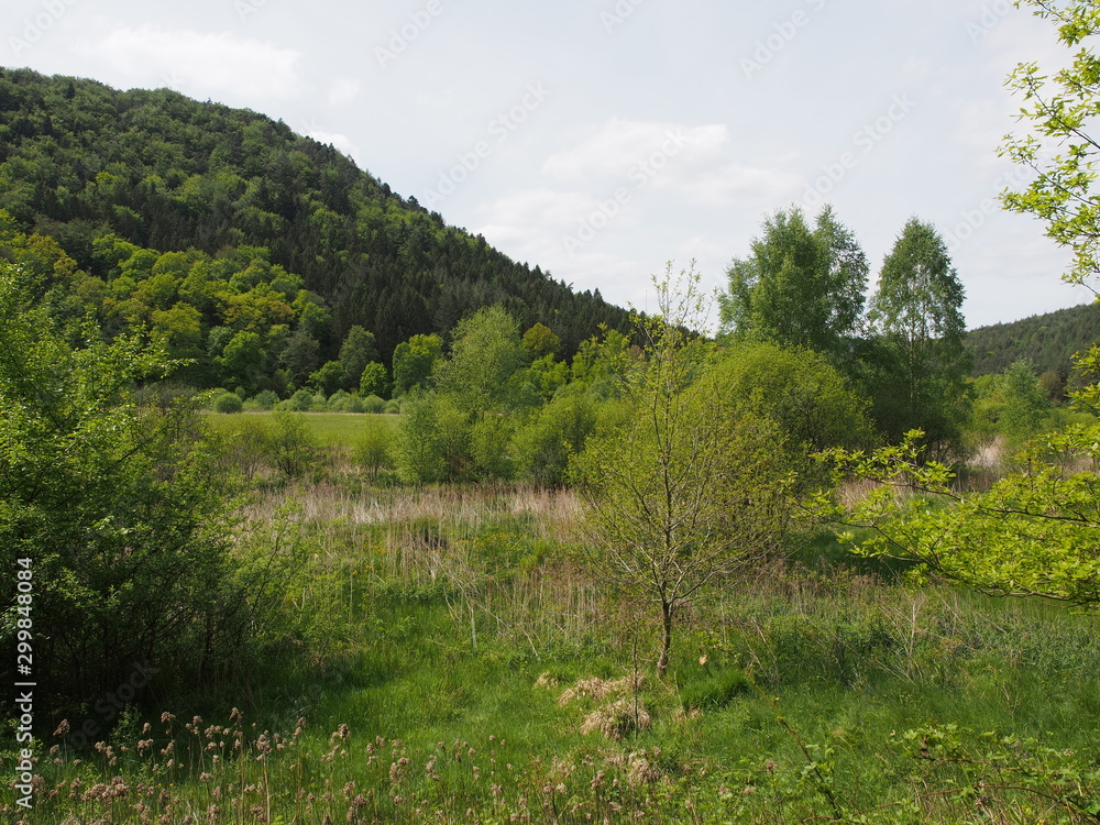 Landschaften – Fischbach bei Dahn – Ortsgemeinde in Rheinland-Pfalz