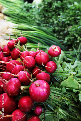 Radish with herbs to the markets of Israel in Tel Aviv. January 18