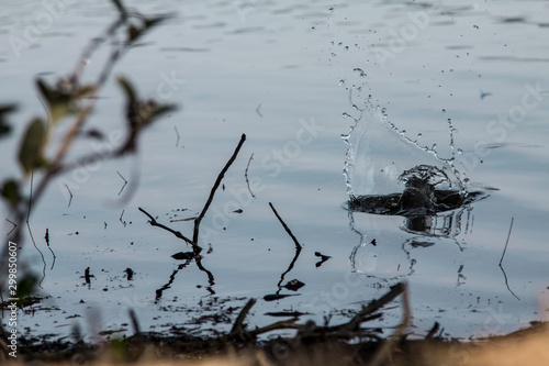 Glassy water drop