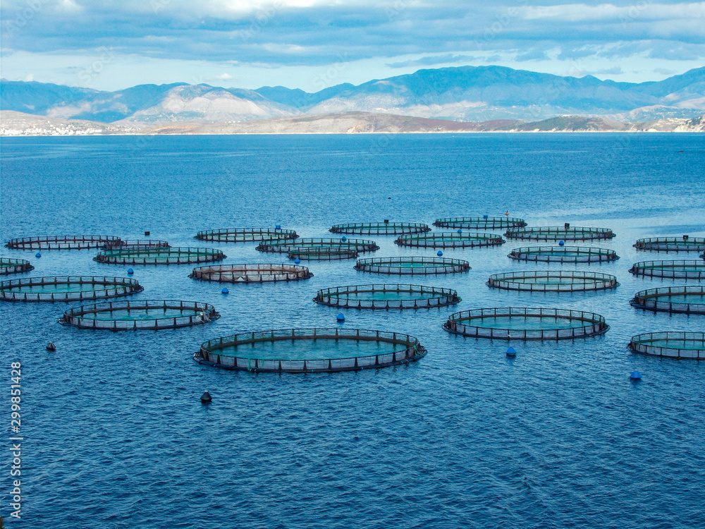 Sea fish farm nets. Cages for fish farming sea bream and bass. Stock Photo