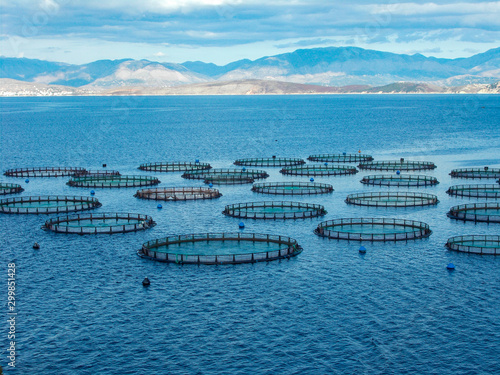 Sea fish farm nets. Cages for fish farming sea bream and bass.	 photo