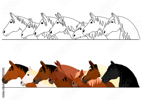 realistic horse head border set