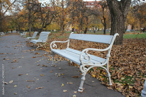 Empty bench in the park
