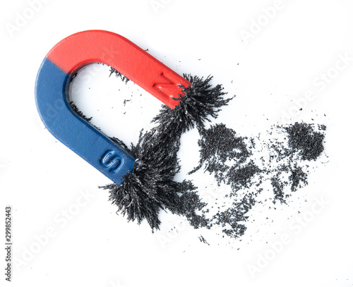 Obraz na plátne Horseshoe magnet attracting iron powder on white background