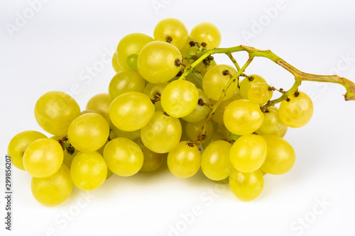 Bunch of grapes from southern Italy