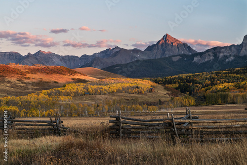 Fototapeta Naklejka Na Ścianę i Meble -  Autumn Aspen Color