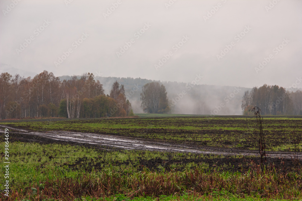 The harsh landscape nature and road through the fields for the off-road SUV with puddles and mud. Autumn or spring background. Forest in the fog in the background. Fallen leaves, slush, mud