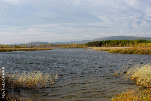 The picturesque bank of a river or lake covered with reeds. Cloudy day in the fall. Ripples from the wind on shiny water. In the blue sky clouds. The atmosphere of relaxation  wind  loneliness.