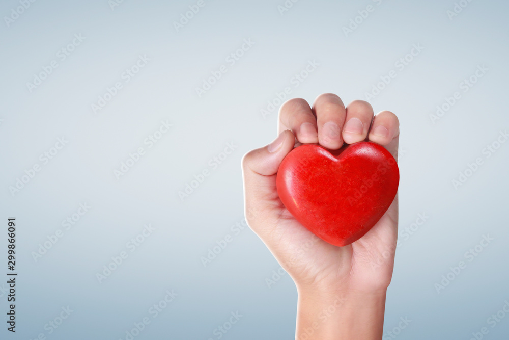 Hands holding a red heart, heart health Hands holding a red heart, heart health