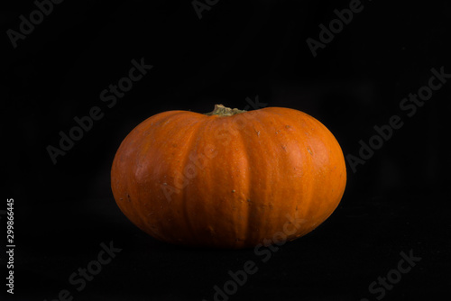 Small seasonal orange pumpkin with black background