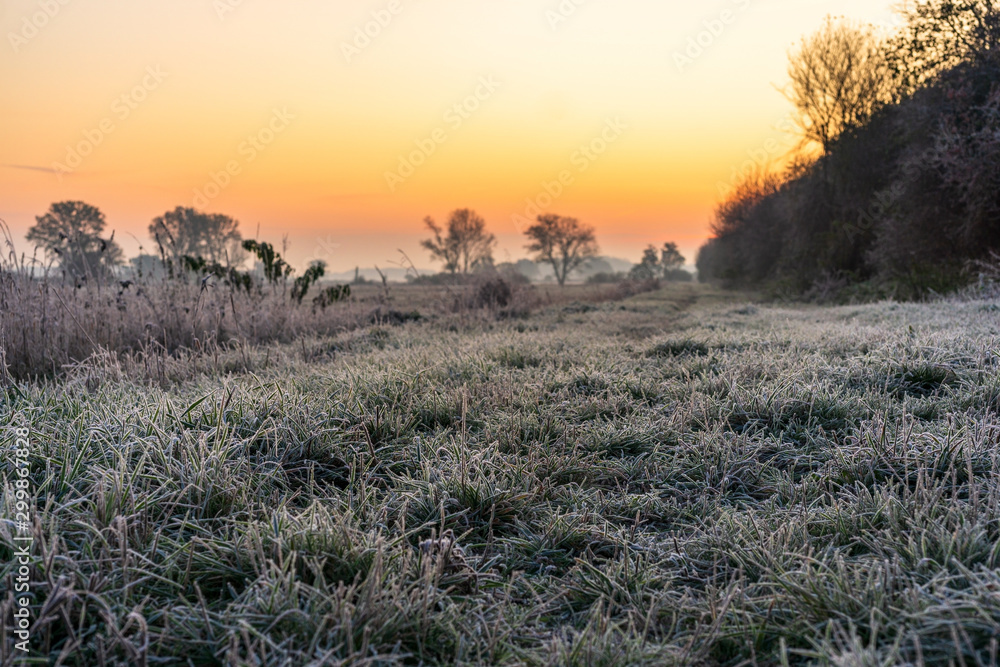 A park landscape in late autumn at sunrise and frost