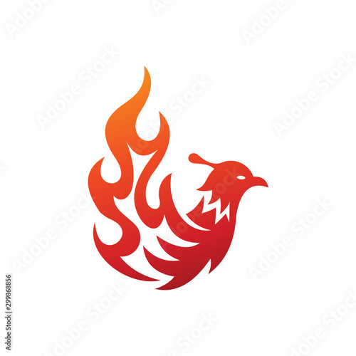 Flaming phoenix bird logo modern template