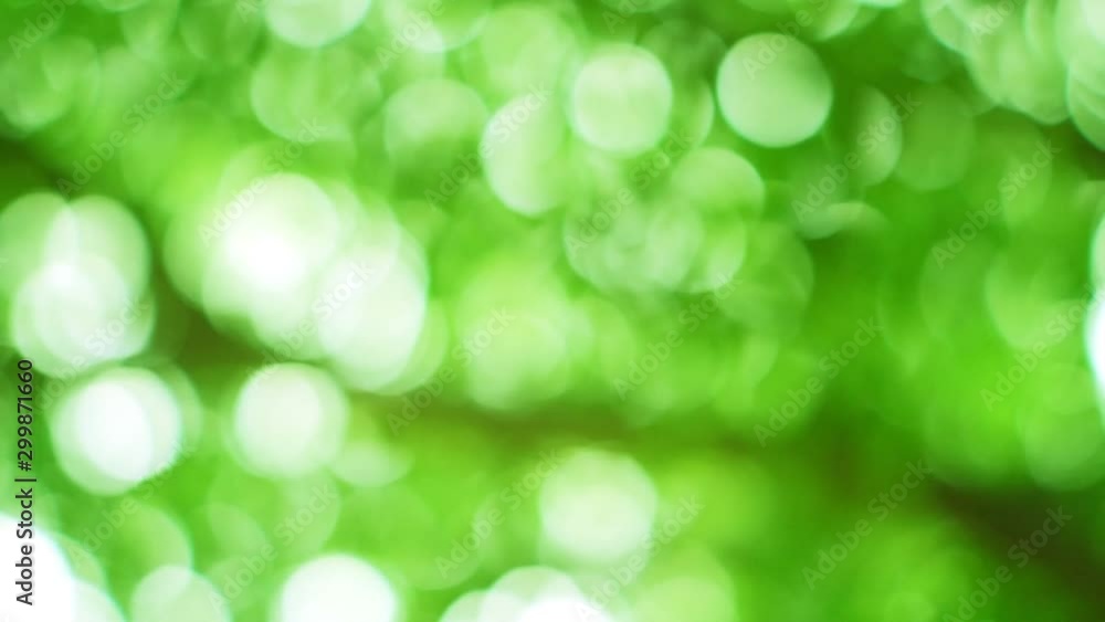 Abstract beautiful green leaf nature bokeh of sunlight moving around background. Abstract beautiful green leaf nature bokeh of sunlight moving around background.