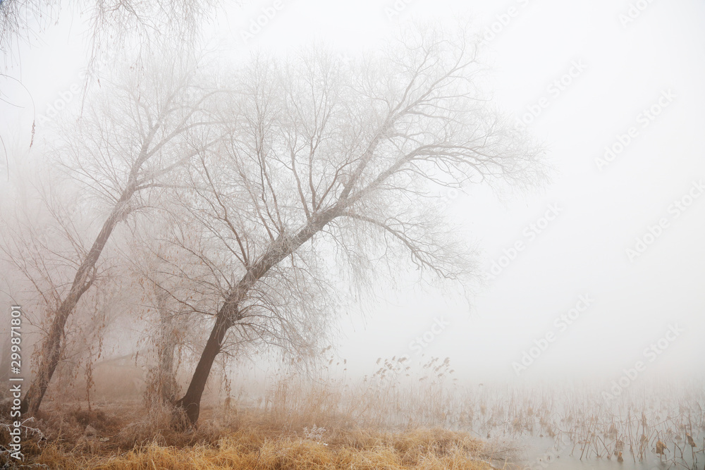 winter river scene in the fog winter river scene in the fog