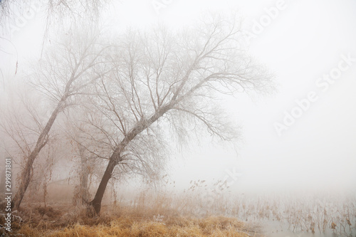 winter river scene in the fog