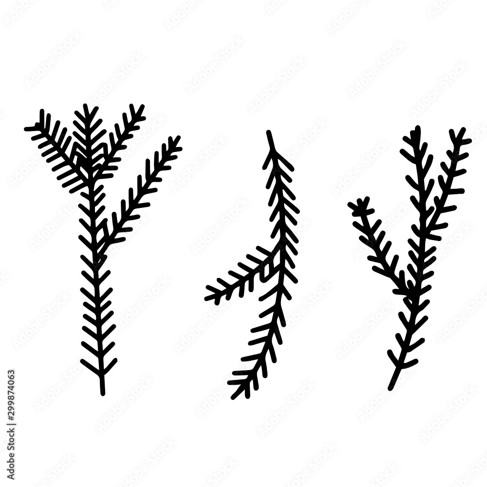 Vector image of spruce branches. Christmas tree. Isolated object. White background. New Year's . Christmas. Vector image of spruce branches. Christmas tree. Isolated object. White background. New Year's . Christmas.