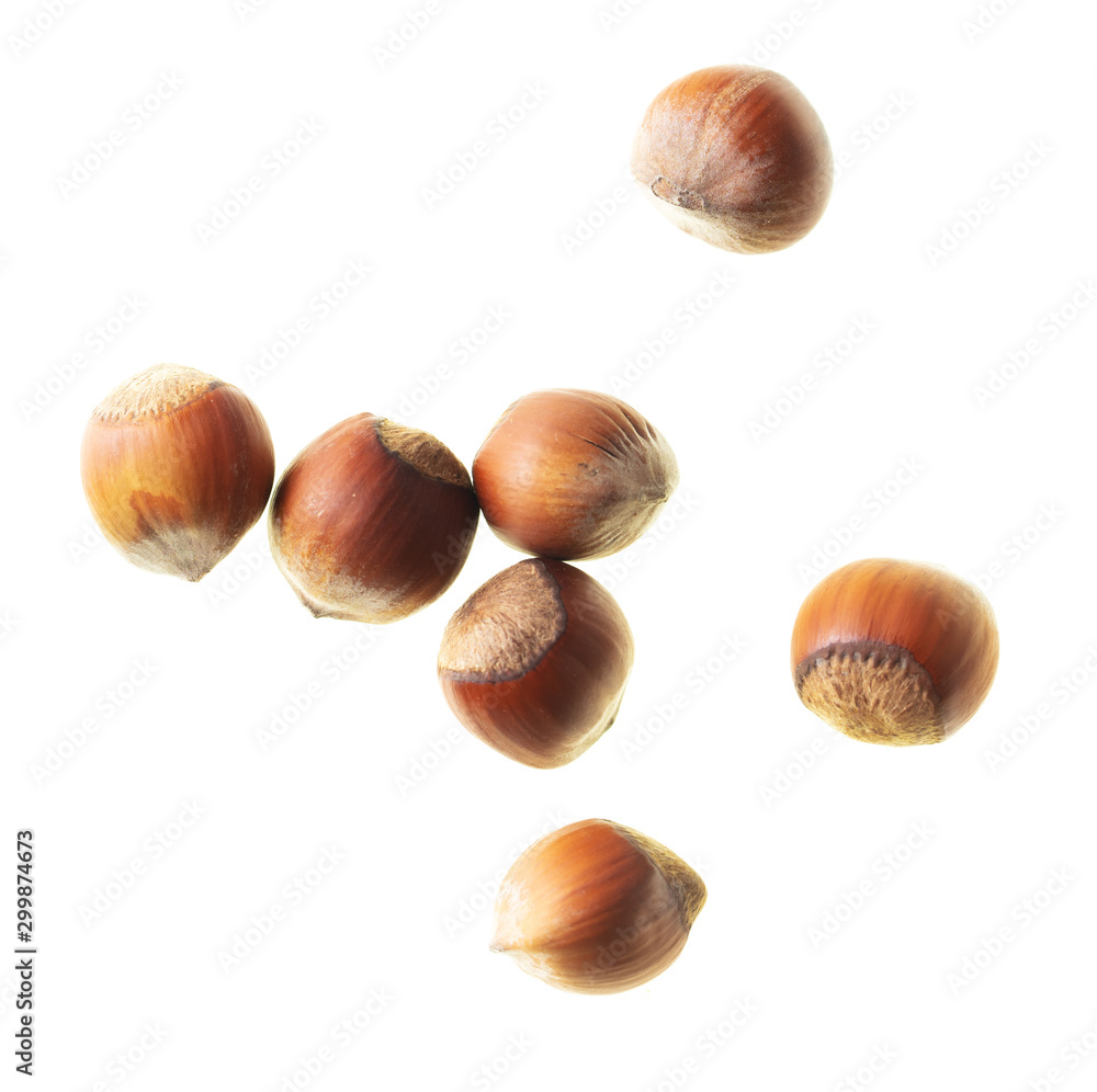 Hazelnuts nuts isolated on a white background Hazelnuts nuts isolated on a white background