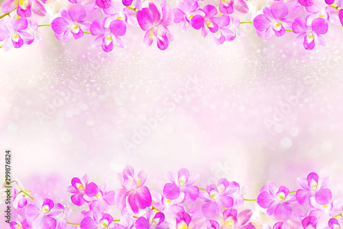 beautiful pink and purple orchid flowers frame background 