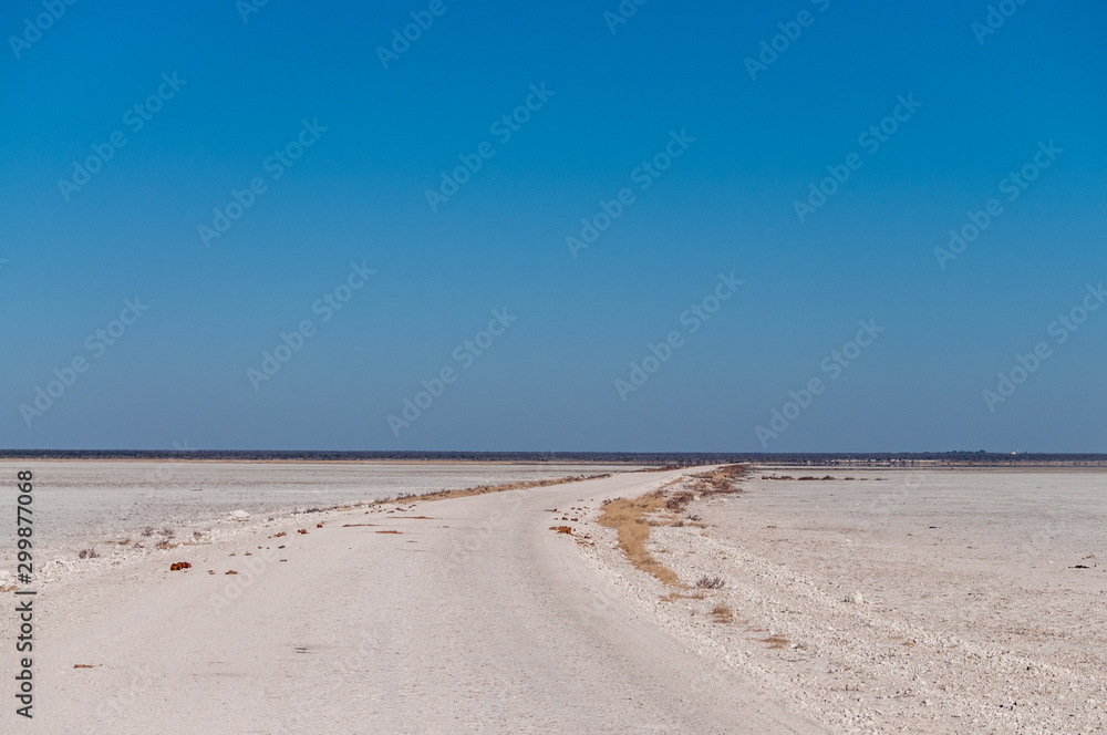 An overview of the empty space of the Etosha salt pan, Ethosha National Park, Namibia.