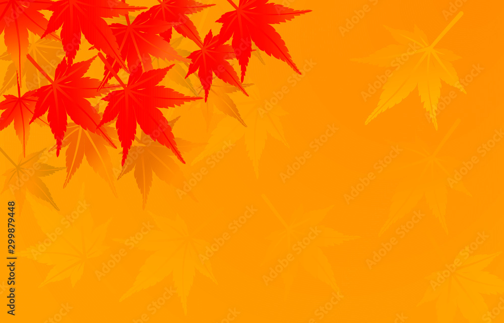 Japanese maple leaves on a warm yellow background Japanese maple leaves on a warm yellow background