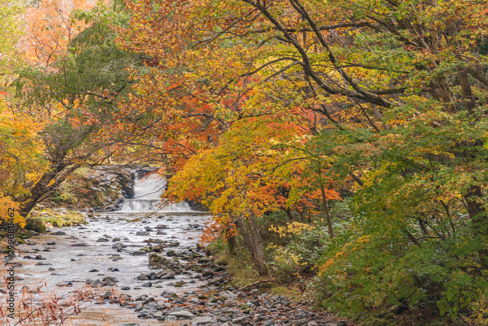 Towada Hachimantai National Park in autumn