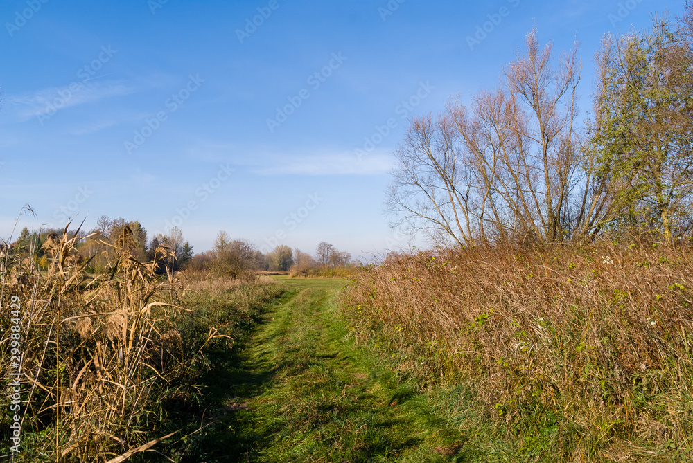 Dolina rzeki Narew i Supraśl w okolicy Złotorii, Podlasie, Polska Dolina rzeki Narew i Supraśl w okolicy Złotorii, Podlasie, Polska