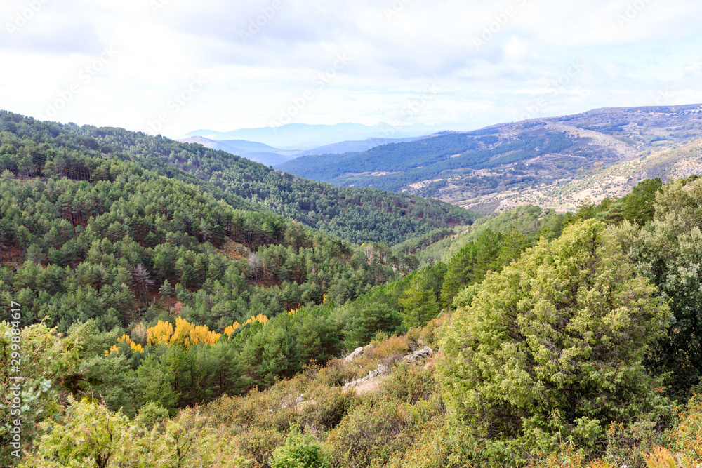 First fall colors in the mountains of Madrid, Spain