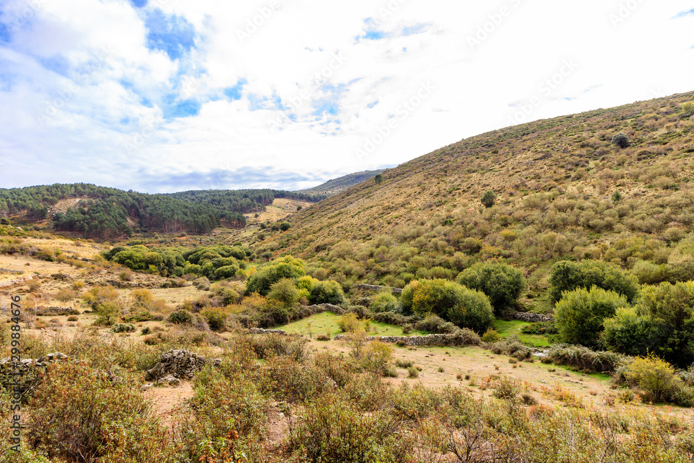 First fall colors in the mountains of Madrid, Spain