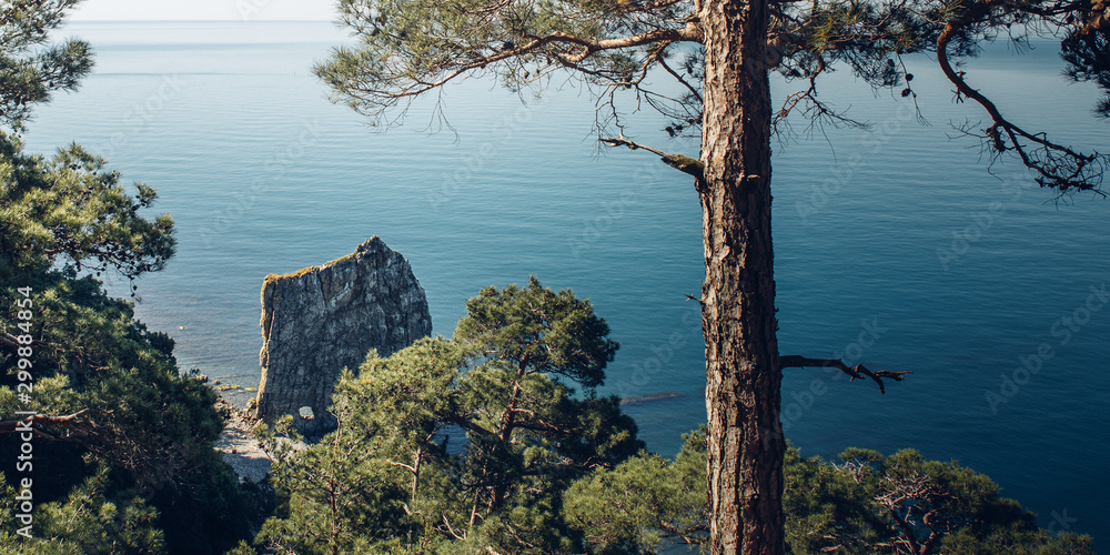 Obraz premium Sea, pines, Sail Rock, picturesque seascape. Black Sea, Krasnodar Region, Northern Caucasus, Russia