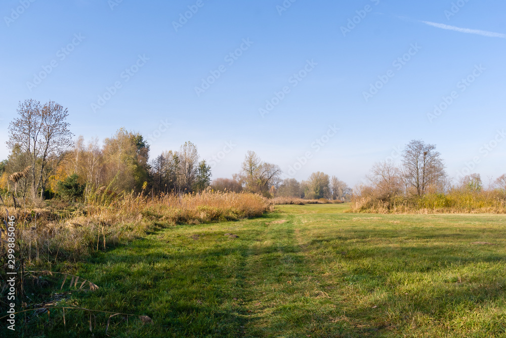 Dolina rzeki Narew i Supraśl w okolicy Złotorii, Podlasie, Polska Dolina rzeki Narew i Supraśl w okolicy Złotorii, Podlasie, Polska