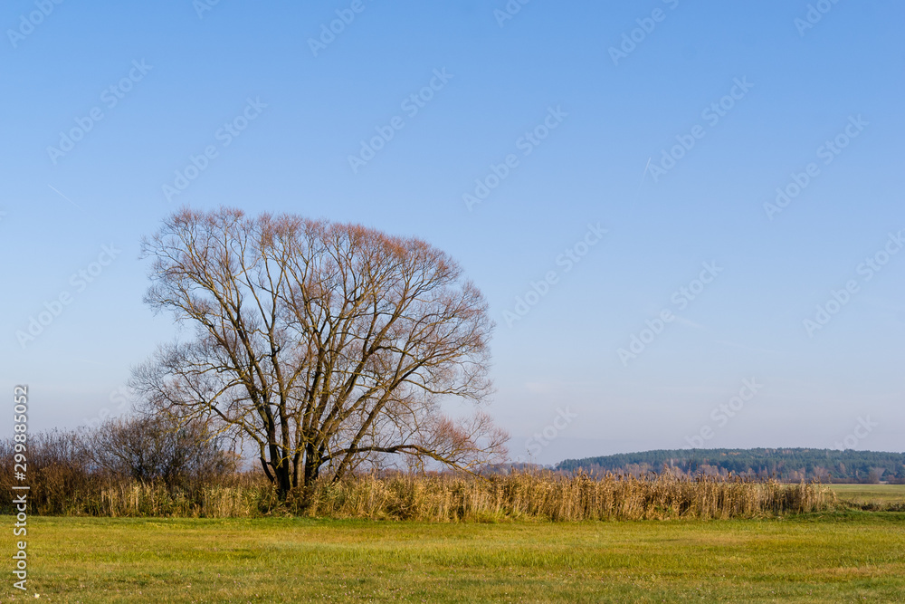 Dolina rzeki Narew i Supraśl w okolicy Złotorii, Podlasie, Polska Dolina rzeki Narew i Supraśl w okolicy Złotorii, Podlasie, Polska