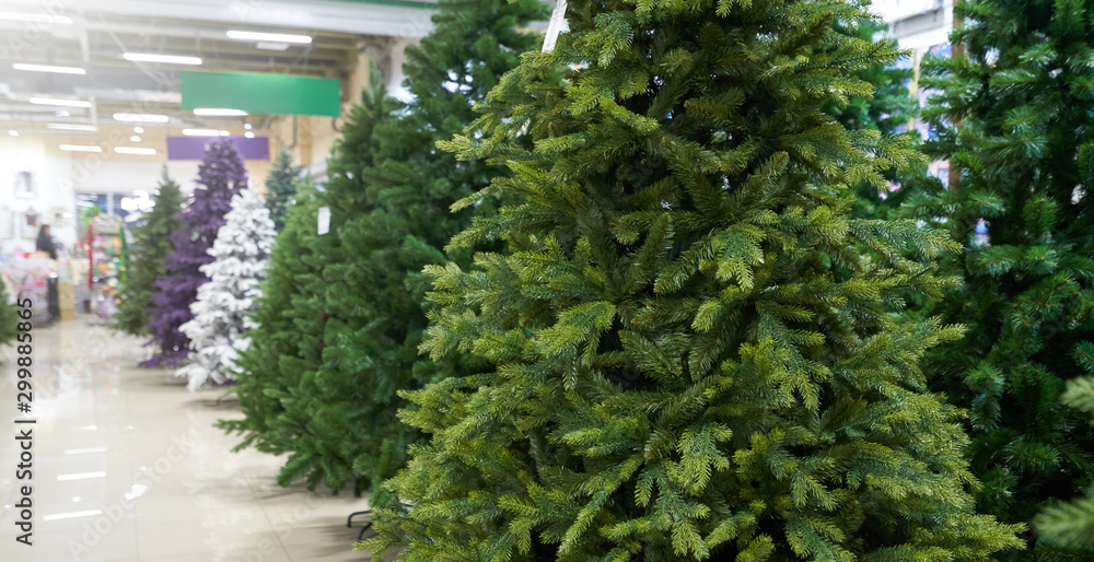 Sale of many artificial Christmas trees in green, purple and white at a decor store. The sale of a variety of artificial Christmas trees Sale of many artificial Christmas trees in green, purple and white at a decor store. The sale of a variety of artificial Christmas trees
