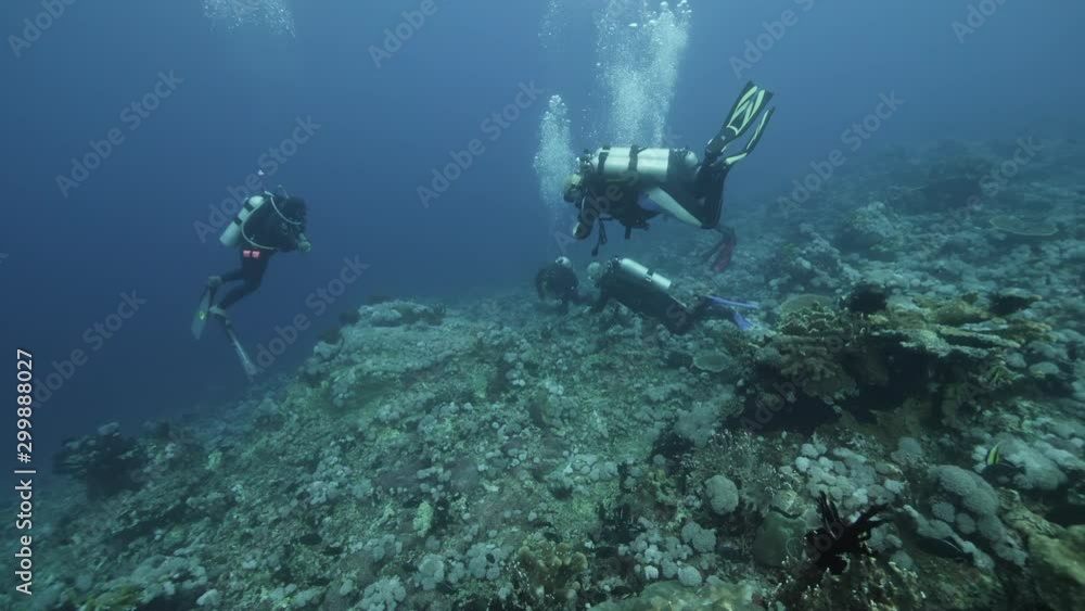 Slow motion shot Diver on background School of fish underwater landscape in Kepulauan Banda Indonesia. Swimming in world colorful beautiful wildlife of reefs and algae. Inhabitants in search of food. Slow motion shot Diver on background School of fish underwater landscape in Kepulauan Banda Indonesia. Swimming in world colorful beautiful wildlife of reefs and algae. Inhabitants in search of food.
