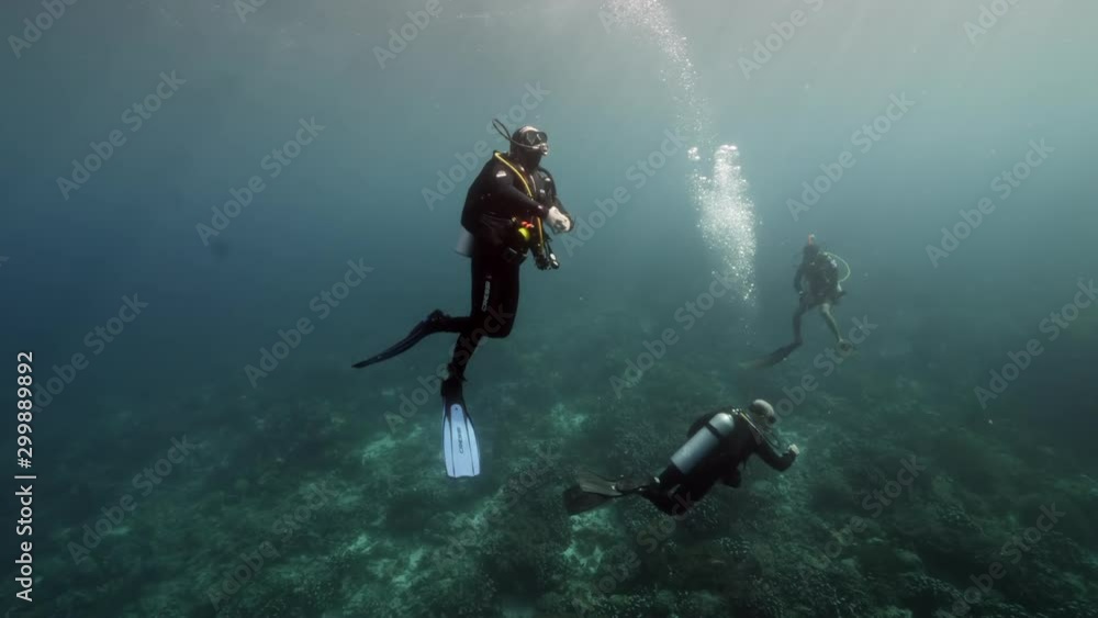 Slow motion shot Diver on background School of fish underwater landscape in Kepulauan Banda Indonesia. Swimming in world colorful beautiful wildlife of reefs and algae. Inhabitants in search of food. Slow motion shot Diver on background School of fish underwater landscape in Kepulauan Banda Indonesia. Swimming in world colorful beautiful wildlife of reefs and algae. Inhabitants in search of food.