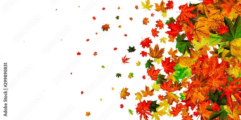 Autumn leaves on ground. November falling pattern background. Thanksgiving season concept Autumn leaves on ground. November falling pattern background. Thanksgiving season concept