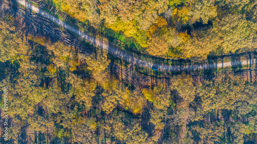 Beautiful autumn in Veliko Korenovo forest near Bjelovar from above photo