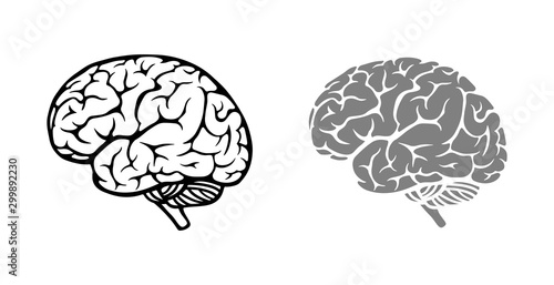 Canvas-taulu Brain. Contoured and filled silhouette. Simple design.