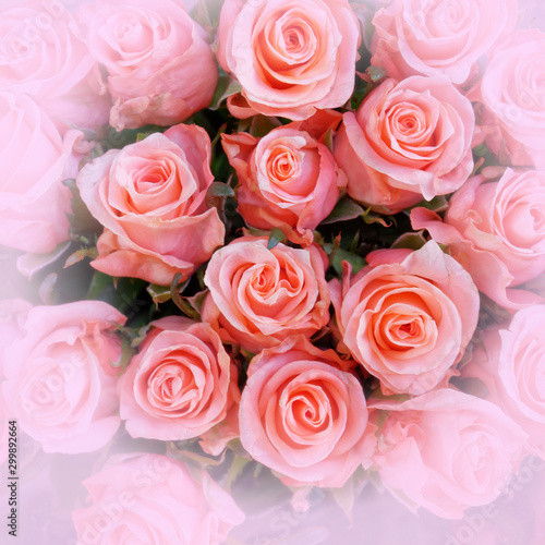 colorful pink roses bouquet top view  soft and airy natural background