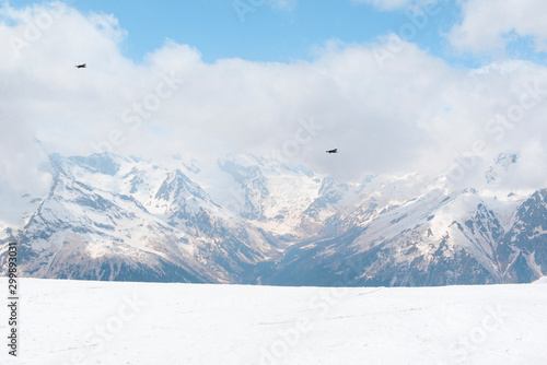2 birds in the sky over the snowy slopes of the Caucasus mountains in winter,