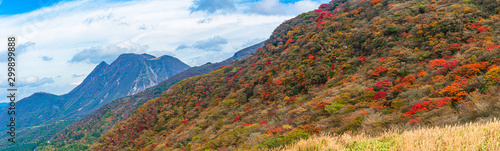 秋のくじゅう連山 鮮やかな紅葉 © narutake