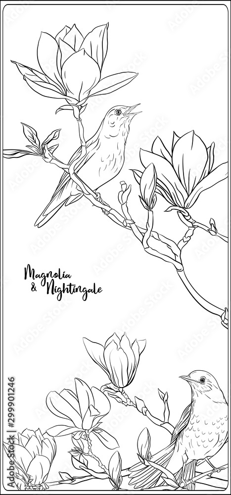 Magnolia tree branch with flowers and nightingale Coloring page for the ...