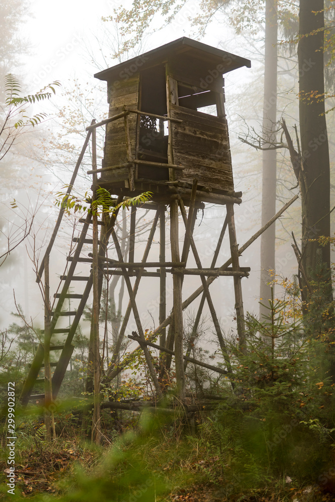 Wooden hunter perched at the forest edge in fog in autumnal pine forest