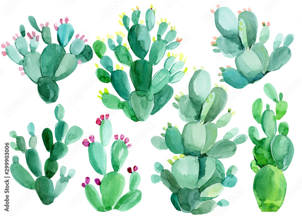 set of Opuntia, green watercolor cactus on white background, hand