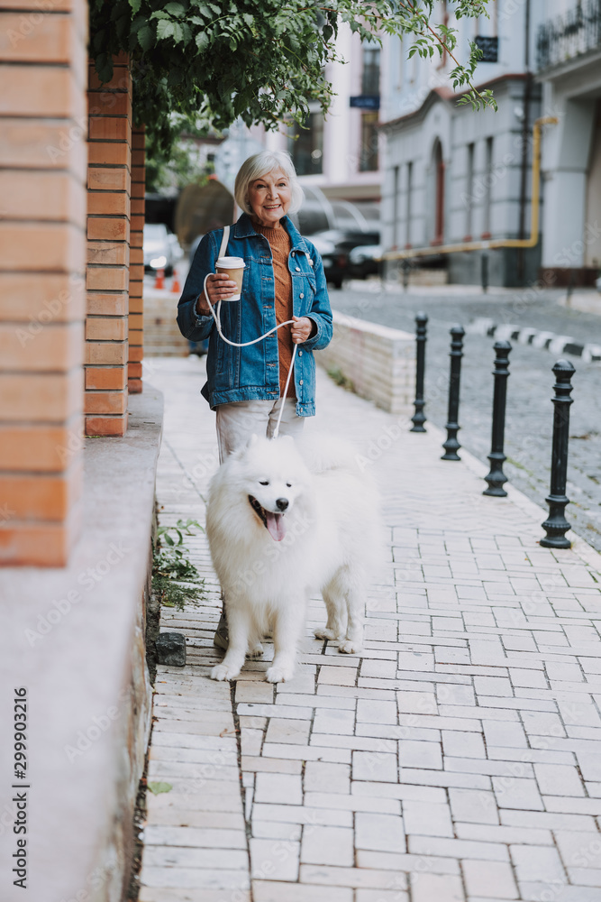 Smiling charming old woman walking her fluffy dog - obrazy, fototapety, plakaty 