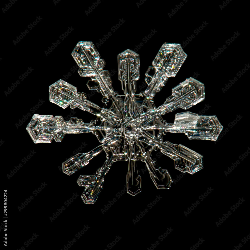 Fototapeta premium real snowflake 