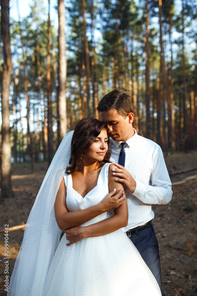 A happy newlywed couple of the bride and groom are walking on nature in a green forest. The bride and groom hug and kiss.Together. Young family. Marriage. Wedding concept. A happy newlywed couple of the bride and groom are walking on nature in a green forest. The bride and groom hug and kiss.Together. Young family. Marriage. Wedding concept.