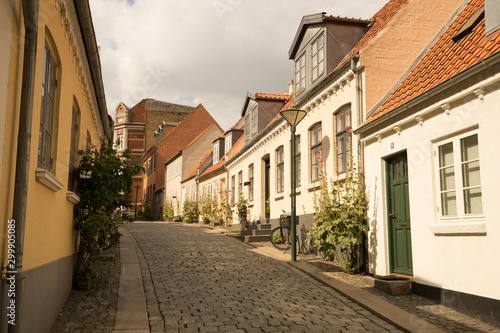 Ruelle dans une petite ville au Danemark © Sebastien